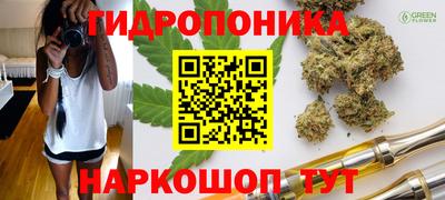mix Кингисепп