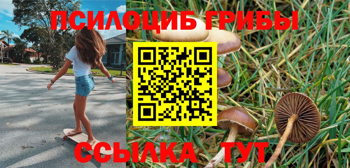 Псилоцибиновые грибы мухоморы Краснознаменск